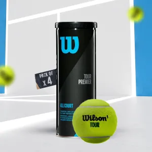 Wilson Tour Premier Tennis Balls (12 Balls)